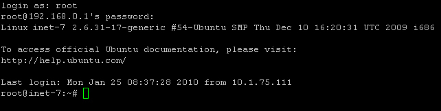 SSH-Terminal-1.jpg